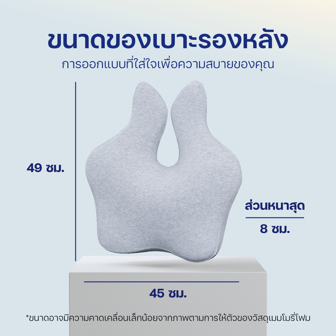 เบาะรองหลัง ERGOLAB 49X45X8 ซม. สีเทา_8